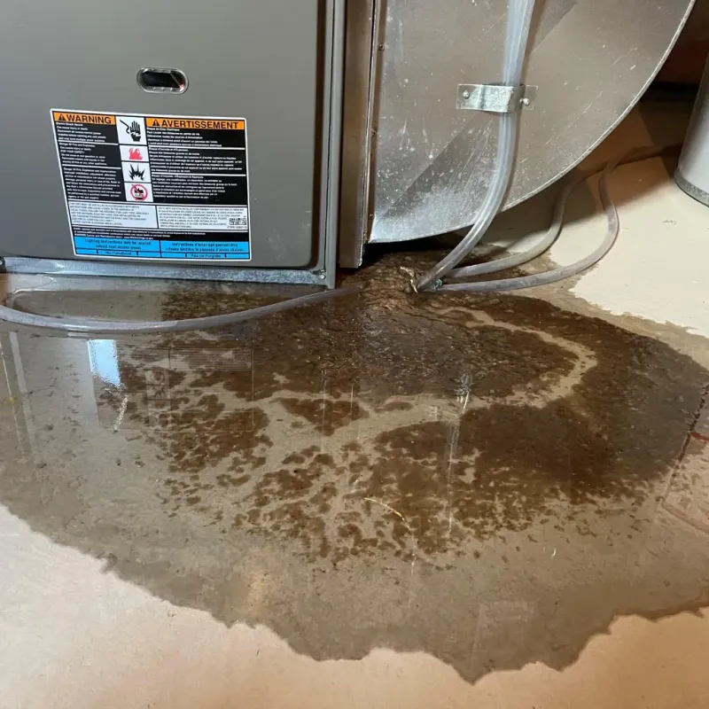 Appliance Leak Cleanup in Girard, PA